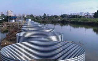 帆布池养殖什么