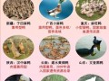 鸭的品种有哪些？附图片大全集