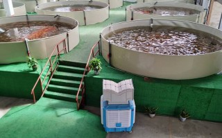 水产养殖水质处理公司如何选？