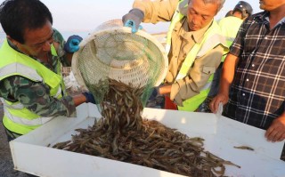 北方水产养殖常见品种有哪些？