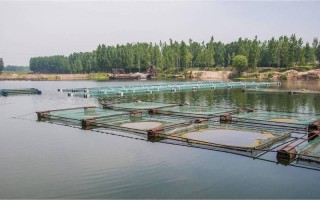 重庆水产养殖鱼塘如何高效建设？