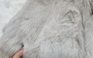 皮毛兔价格是多少