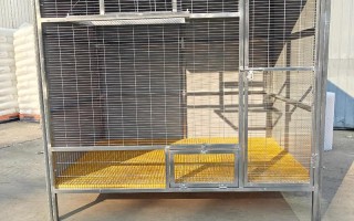 肉鸽子笼子怎么养殖方法