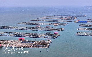 福建水产养殖规模有多大？