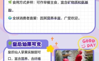 仙人球哪个品种可以吃