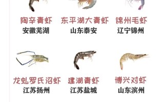 全国水产养殖主推品种有哪些？