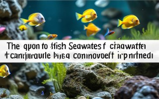 水泥池可以养殖什么海水鱼