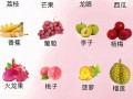 现在种什么水果品种最赚钱？
