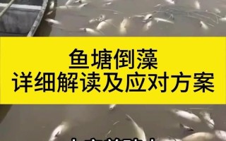 鱼塘养殖害怕什么病