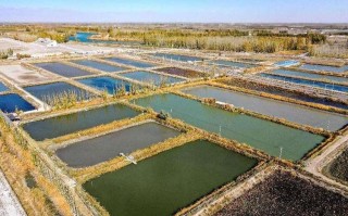 新疆水产养殖前景究竟如何？