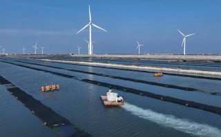 近海养殖是干什么