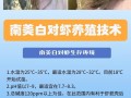 养殖南美白对虾为什么要用菌