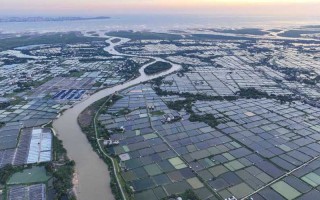 广西大型水产养殖基地有何特色？