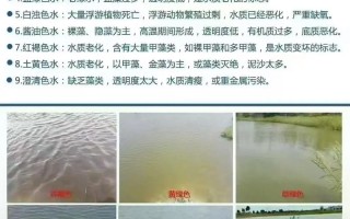 水产养殖怎么分辨水质