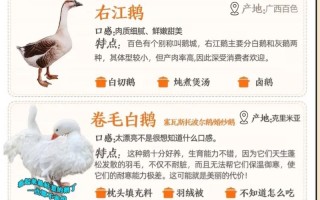 什么品种鹅最适合做种鹅？