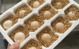 做什么饲料用鸡蛋