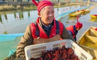 潜江龙虾养殖在什么口