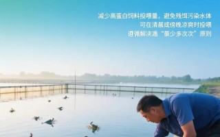 水产健康养殖技术要点