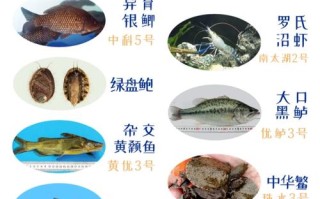 特色水产养殖品种有哪些？