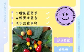 五彩泡椒怎么种？方法步骤有哪些？