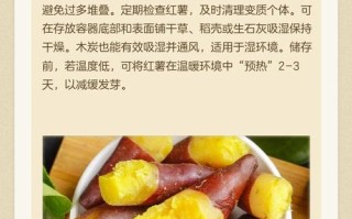 凉薯怎么种？时间、方法、管理有啥讲究？
