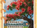 芙蓉树的养殖方法和条件