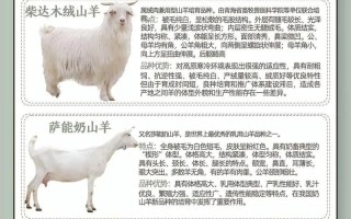 羊的品种有多少？附图片吗？