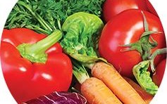 上海泓宝绿色水产科技有何创新？