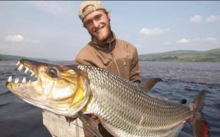 美国最大的鱼是什么品种