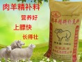 养羊的饲料羊吃什么