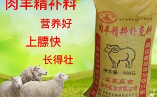 养羊的饲料羊吃什么