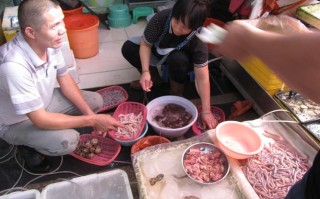 广西北海水产批发市场有何特色？