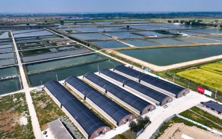 吉林水产养殖大棚如何建设更高效？