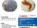 养泥鳅用什么饲料