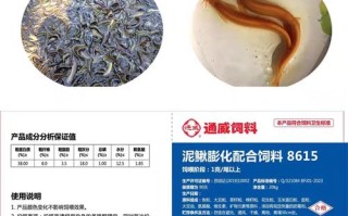 养泥鳅用什么饲料
