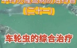 金鱼车轮虫病的防治方法