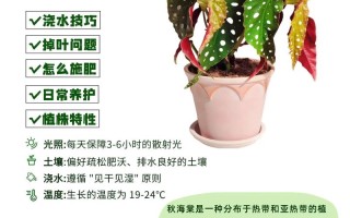 海棠怎么种？养护有哪些要注意的？