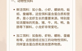 龙虾养殖应注意什么意思