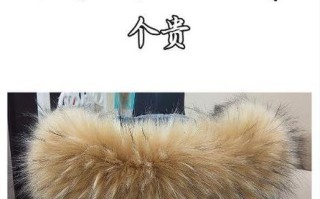 狐狸今天价格是多少