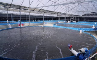 高原特色水产养殖如何突破瓶颈？