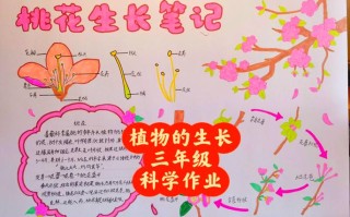 桃花树怎么种才活？