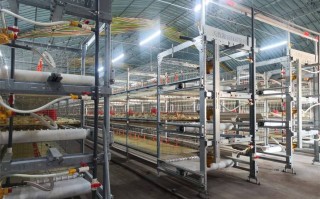 什么是工业化养殖技术