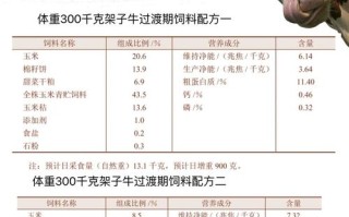 牛吃的什么饲料