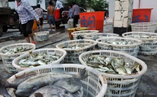 监利水产品生意到底能不能做？