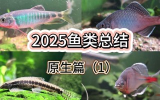 2025年水产新品种有哪些？