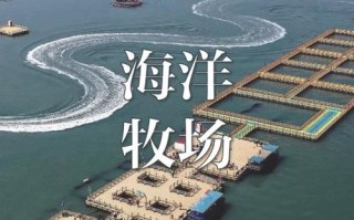 海水水产养殖加盟项目靠谱吗？