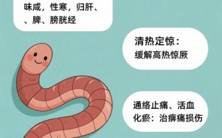 哪些蚯蚓品种能入药？