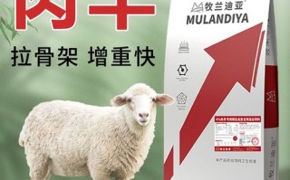 小羊羔饲料中的微量元素是什么