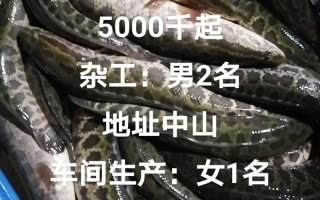 中山水产批发搬运招聘