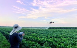 农用无人机喷药哪种方式更高效？